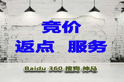 某某sem推广公司案例揭秘：如何精准定位目标用户群体